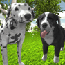 888棋牌官网入口网页版