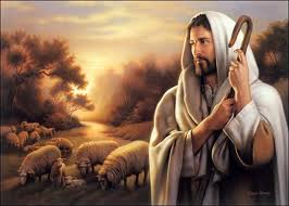 w66旗舰厅app下载