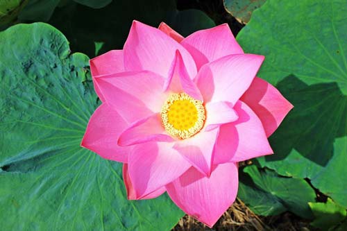 kaiyun下载-登录入口