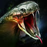 58娱乐彩票官网app下载最新版
